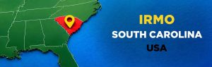803 cheap movers irmo south carolina usa
