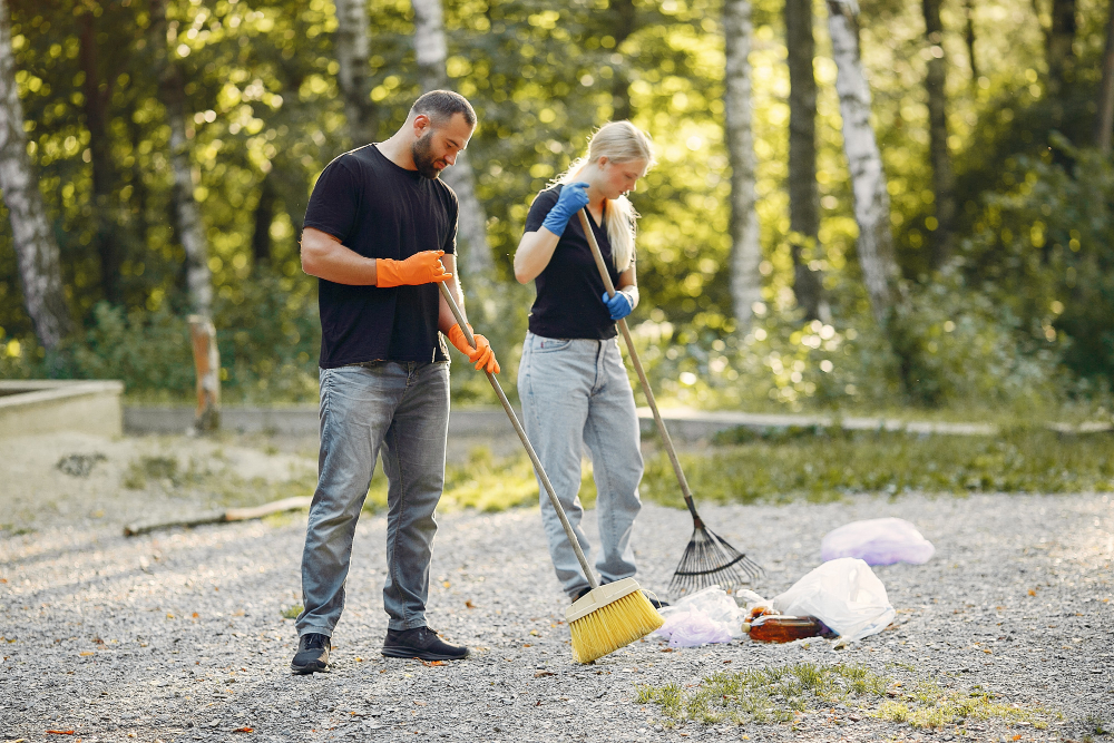 803 cheap movers cleanouts
