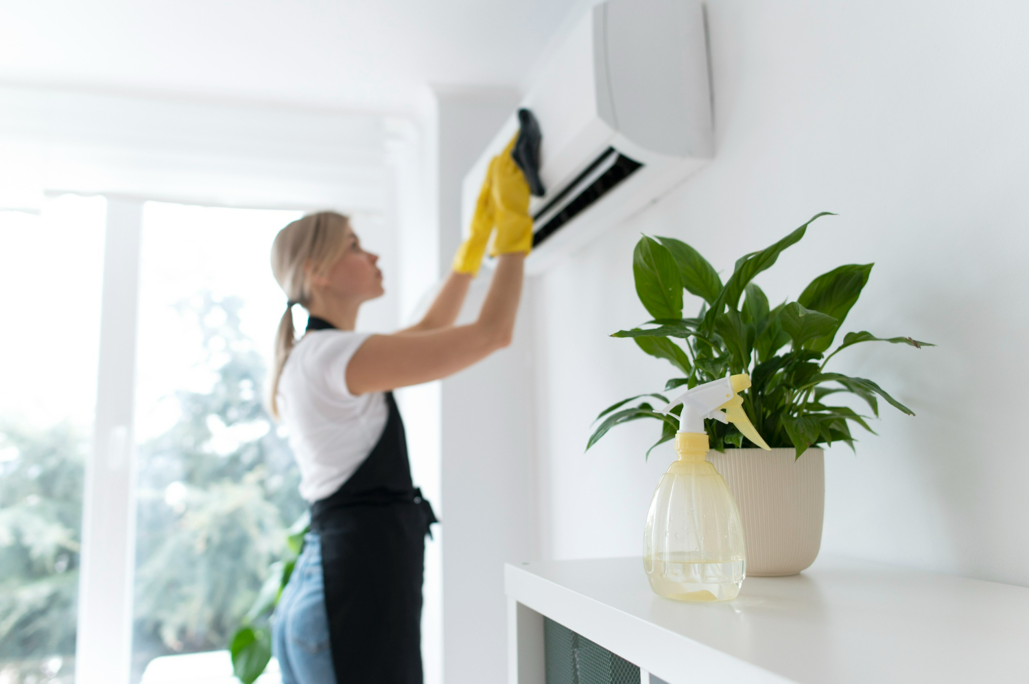 what’s included in our $500 apartment cleanout package